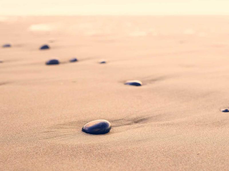 链上侦探<br>Web3 撸毛与空投交互神号